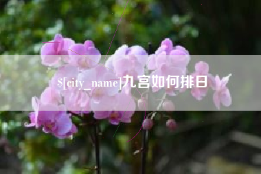 汕头九宫如何排日