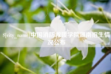 汕头中国消防救援学院湖南招生情况公布