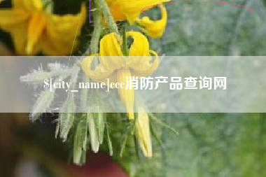 汕头ccc消防产品查询网
