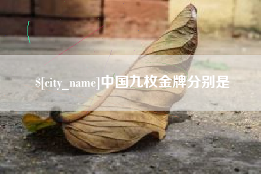 汕头中国九枚金牌分别是
