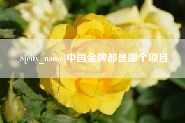 汕头中国金牌都是哪个项目