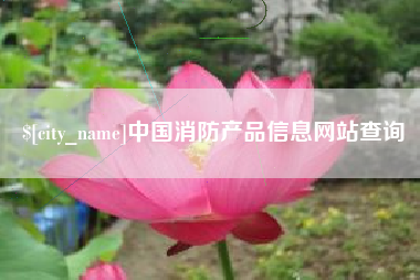 汕头中国消防产品信息网站查询