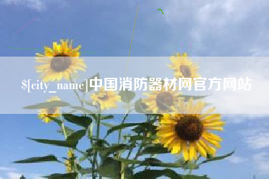 汕头中国消防器材网官方网站