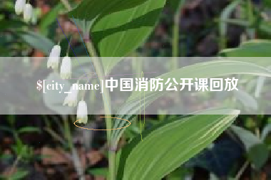 汕头中国消防公开课回放