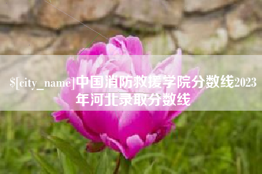 汕头中国消防救援学院分数线2023年河北录取分数线