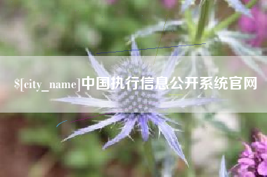汕头中国执行信息公开系统官网