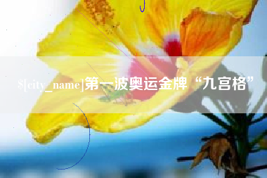 汕头第一波奥运金牌“九宫格”