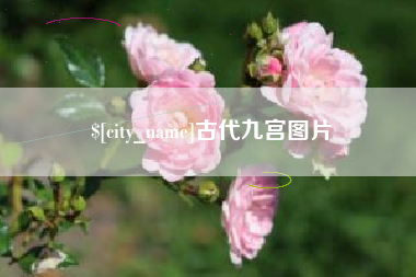 汕头古代九宫图片