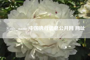 汕头中国执行信息公开网 网址