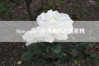 汕头中国消防产品官网