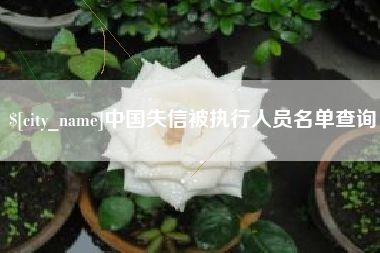 汕头中国失信被执行人员名单查询