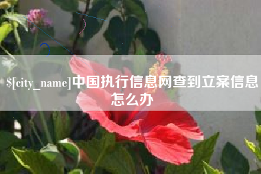 汕头中国执行信息网查到立案信息怎么办