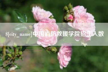 汕头中国消防救援学院招生人数