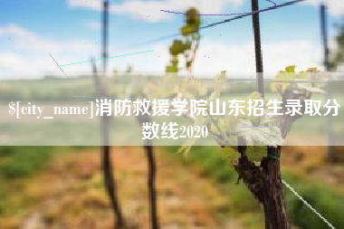 汕头消防救援学院山东招生录取分数线2020