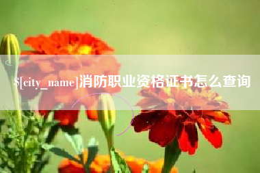 汕头消防职业资格证书怎么查询