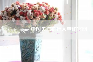 汕头中国失信执行人查询官网