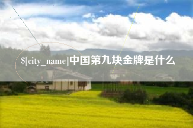 汕头中国第九块金牌是什么