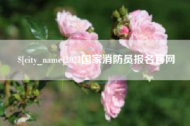 汕头2021国家消防员报名官网