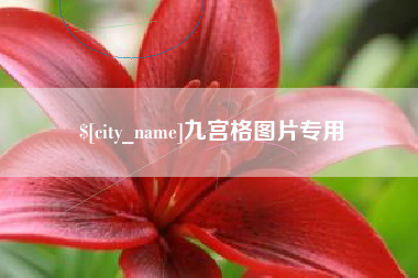 汕头九宫格图片专用