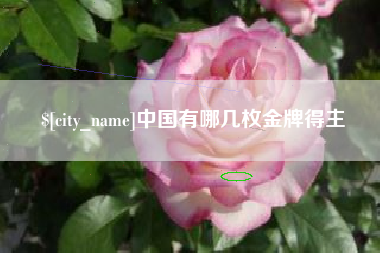 汕头中国有哪几枚金牌得主
