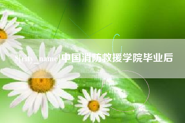 汕头中国消防救援学院毕业后