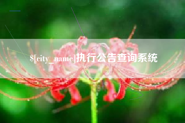 汕头执行公告查询系统