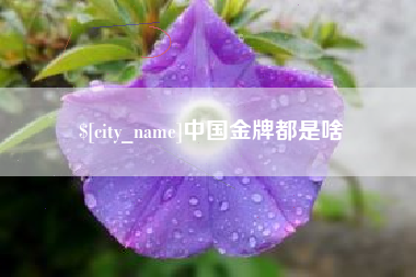 汕头中国金牌都是啥