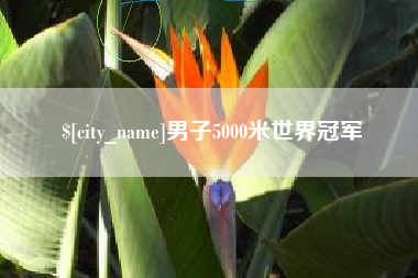 汕头男子5000米世界冠军
