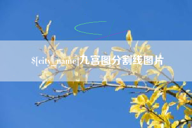 汕头九宫图分割线图片