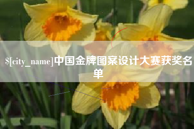 汕头中国金牌图案设计大赛获奖名单