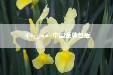 汕头中国金牌包括