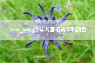 汕头今年九宫格的不利颜色