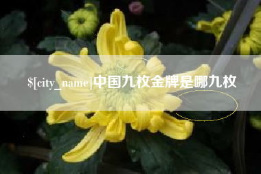 汕头中国九枚金牌是哪九枚