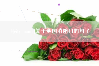 汕头关于全国消防日的句子