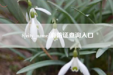 汕头消防证查询入口