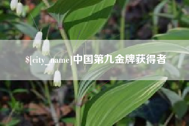 汕头中国第九金牌获得者