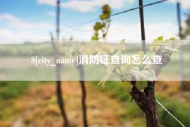 汕头消防证查询怎么查