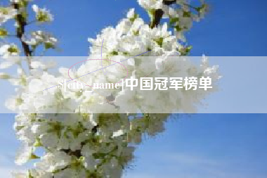 汕头中国冠军榜单