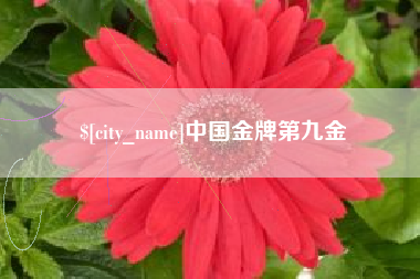 汕头中国金牌第九金