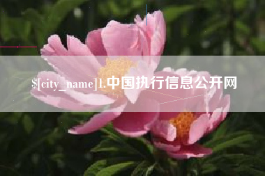 汕头1.中国执行信息公开网