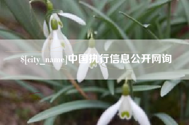 汕头中国执行信息公开网询
