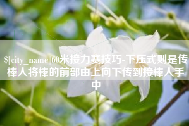 汕头60米接力赛技巧-下压式则是传棒人将棒的前部由上向下传到接棒人手中