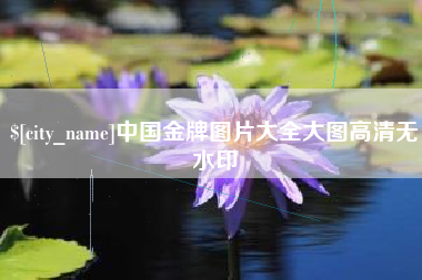 汕头中国金牌图片大全大图高清无水印