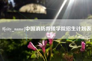 汕头中国消防救援学院招生计划表