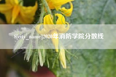 汕头2020年消防学院分数线