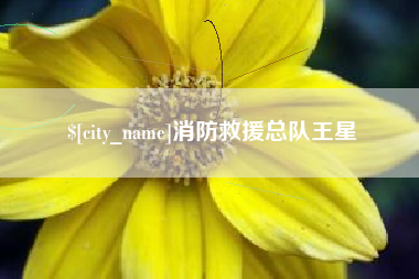 汕头消防救援总队王星