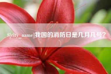 汕头我国的消防日是几月几号？
