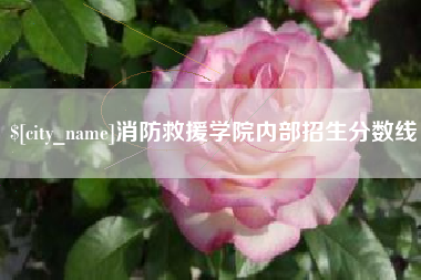 汕头消防救援学院内部招生分数线
