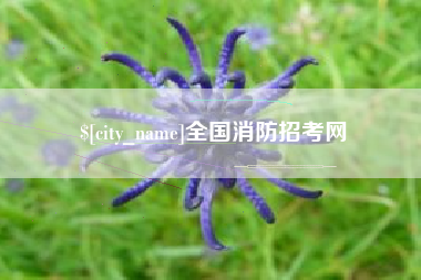 汕头全国消防招考网