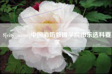 汕头中国消防救援学院山东选科要求